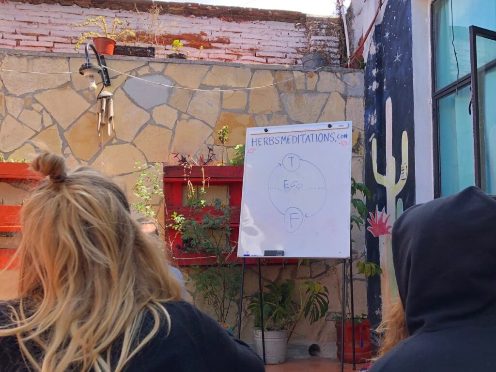 herbs meditation class in hostel isla san cristobal de las casas
