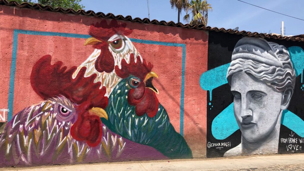 graffiti mural art of three chickens in barrio de xochimilco in oaxaca city