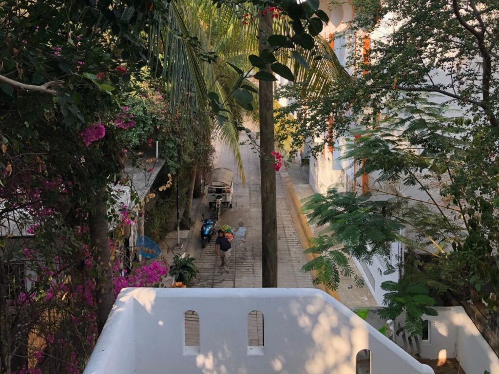 alleyway to the entrance to elephant garden puerto escondido