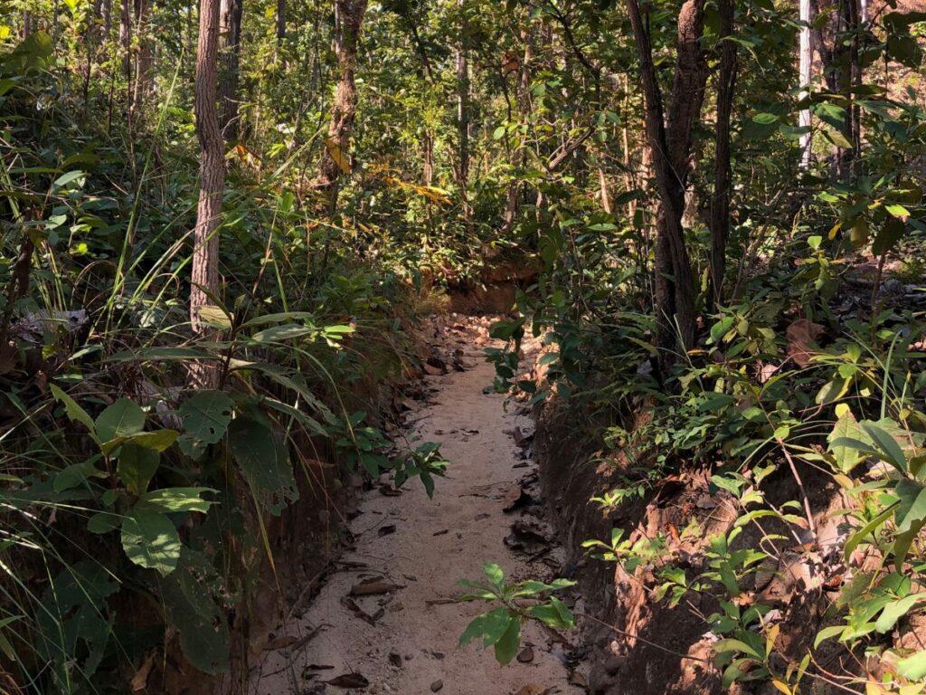 base of pai canyon, narrow sand path, palm trees