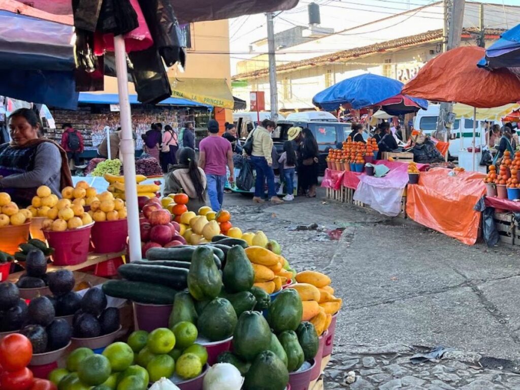 avocados, peppers, cucumber lined up on stall, outside mercado viejo san cristobal