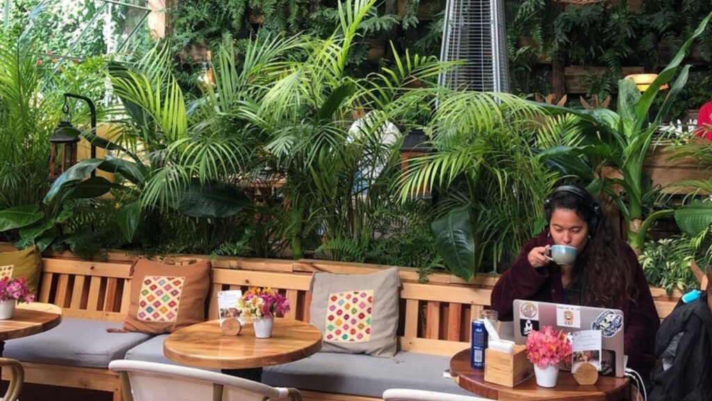 girl eating brunch at sarajevo jardin cafe in san cristobal de las casas