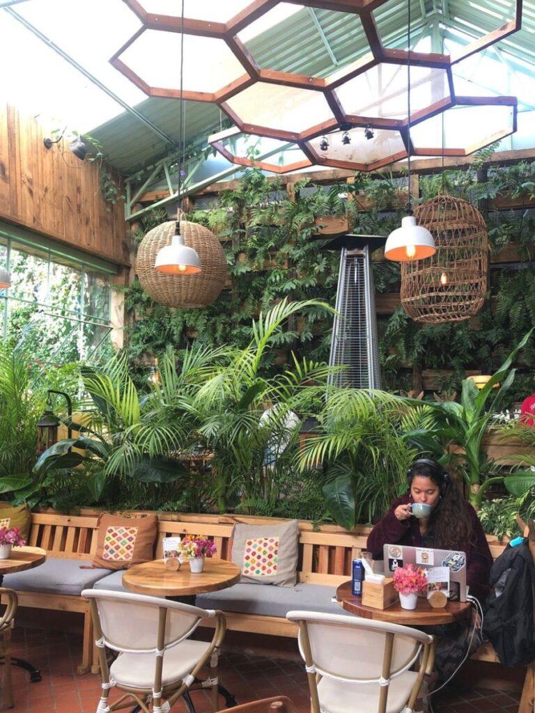 girl sipping a coffee inside sarajevo cafe jardin in san cristobal de las casas, mexico