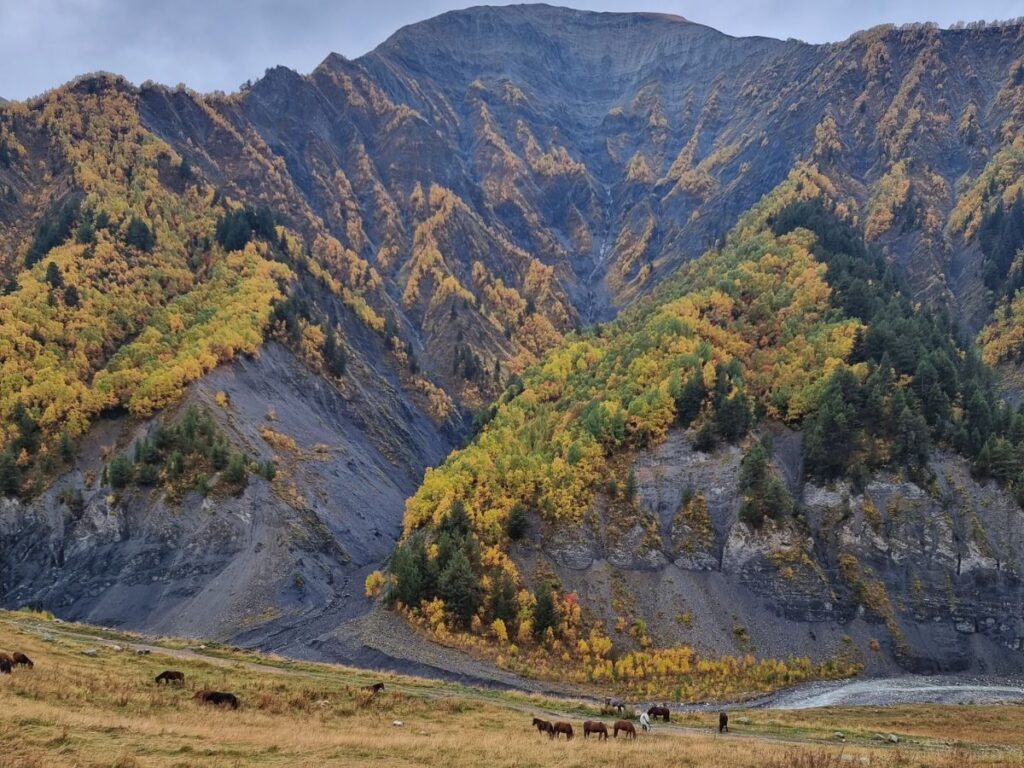 autumn trees on mestia to ushguli hike