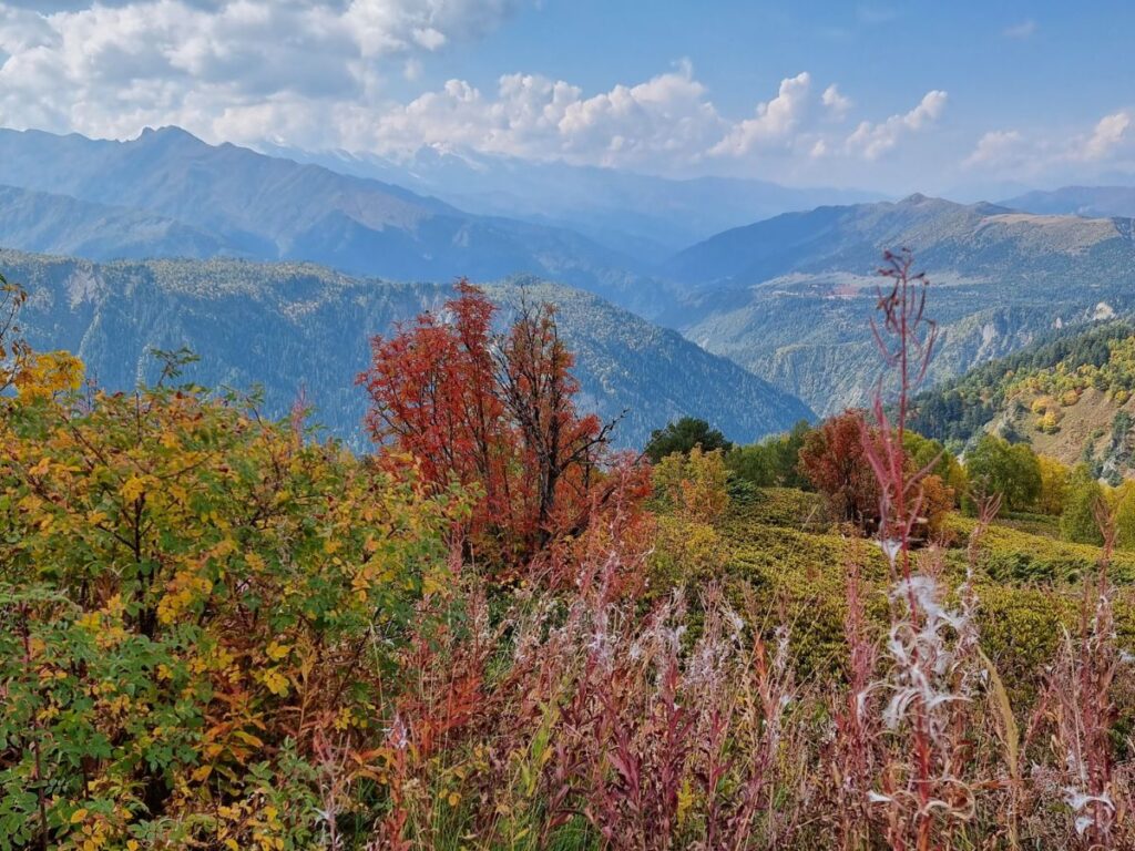 mountain scape