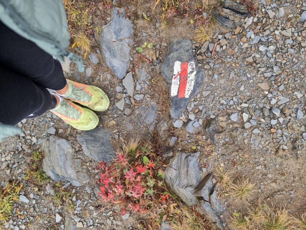 markers on trail from mestia to adishi