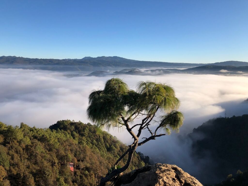 san cristobal in the clouds from the peak of don lauro