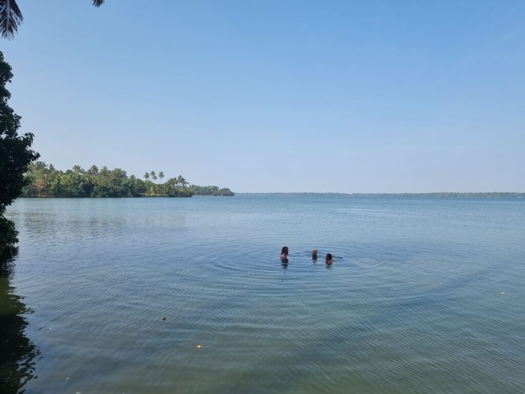 three people swimming in AShtamudi lake on munroe island, kerala