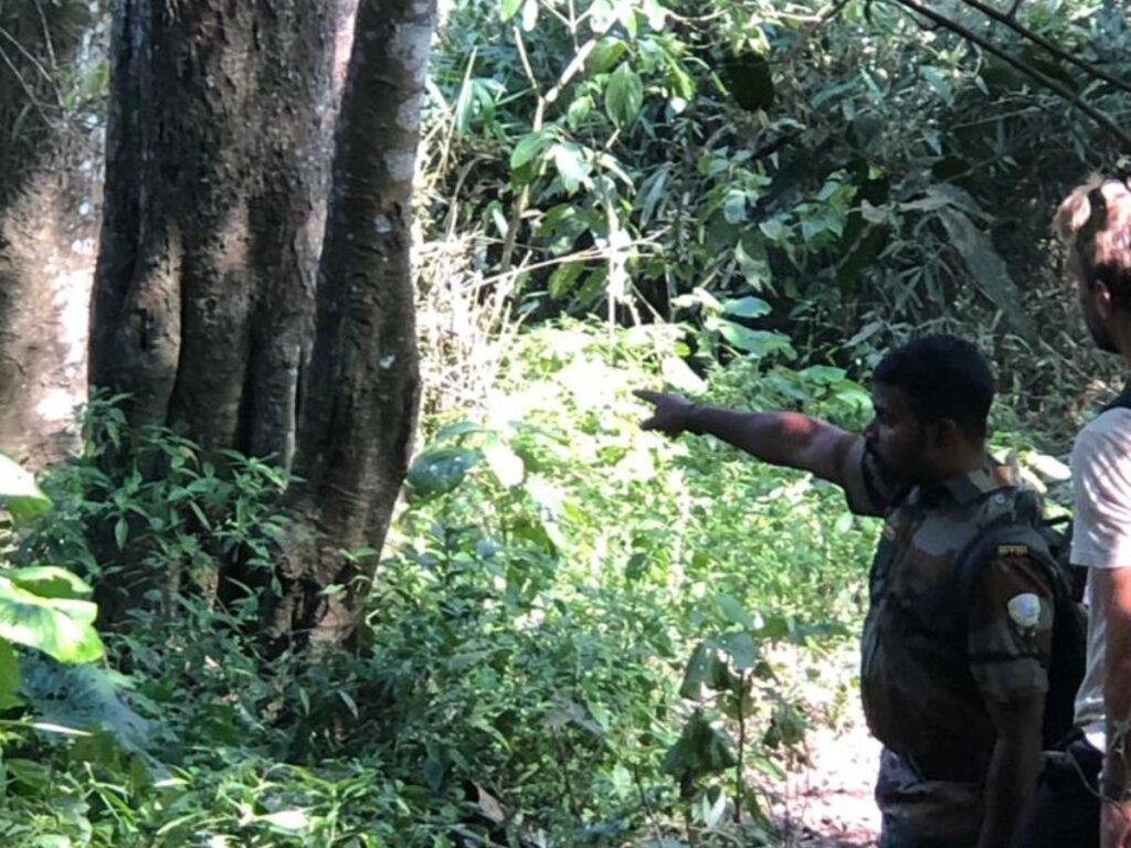 A guide pointing at the animals in Periyar National Park, Kerala