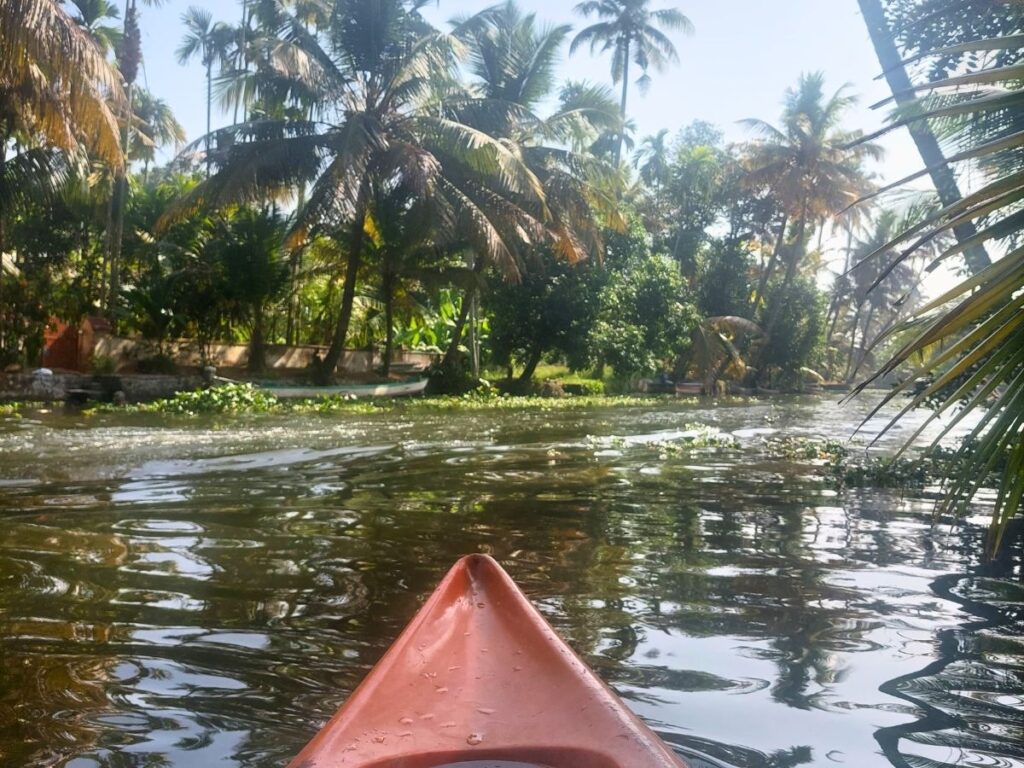 kayaking at sunrise on Alleppey backwaters with Oscar Cruises, Kerala