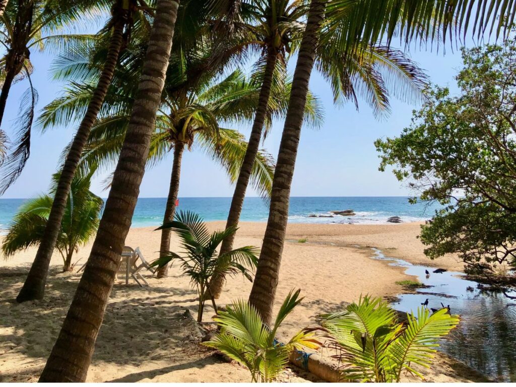 palm trees and white sand at playa aqua blanca, oaxaca, the best Puerto Escondido day trip