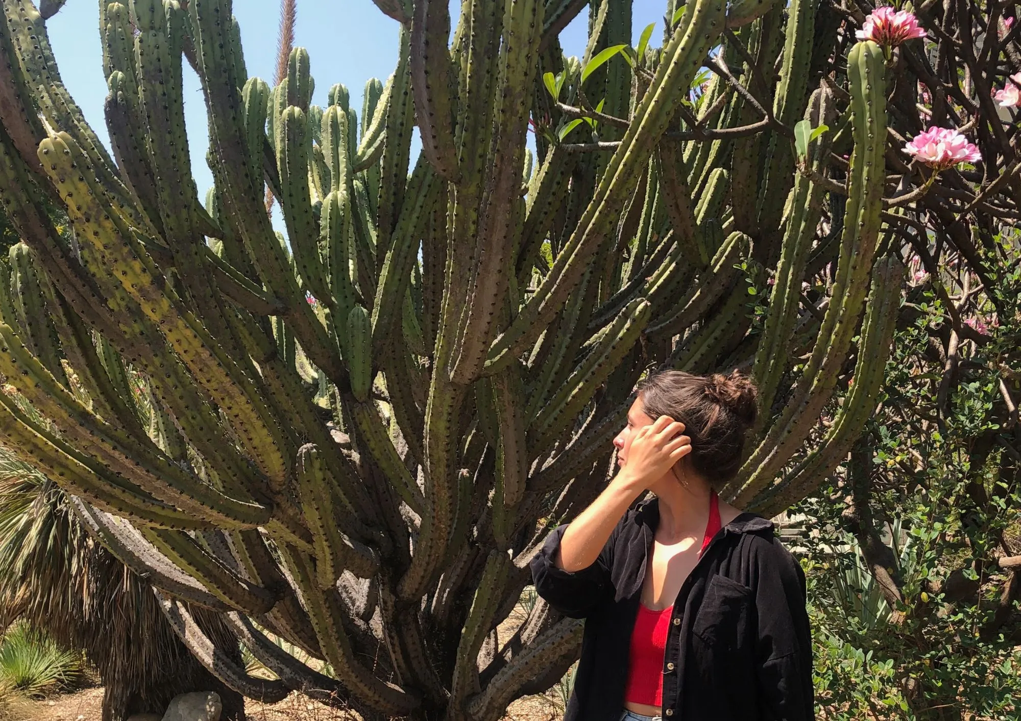 14 Free Things To Do in Oaxaca City - Real Talk Travel