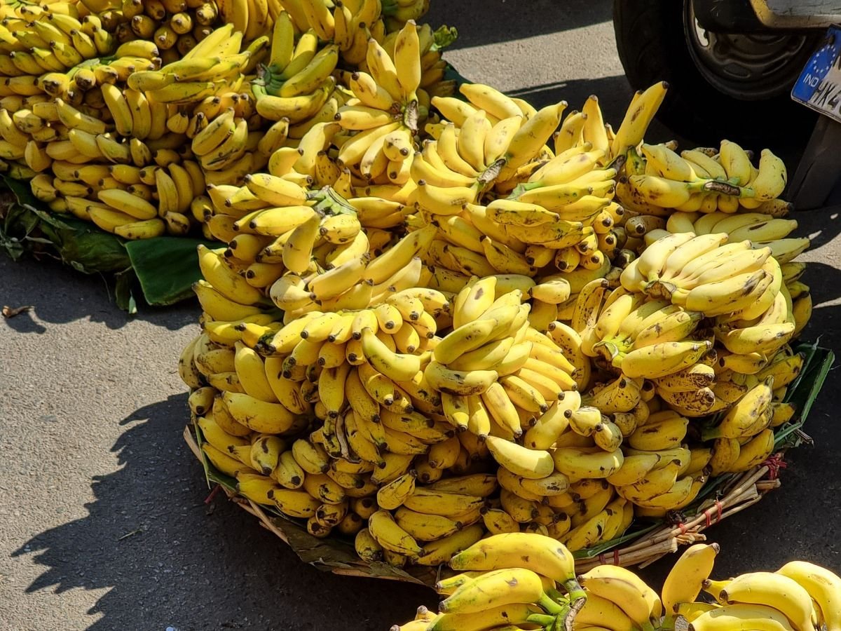 Bananas for sale at Mysore Market