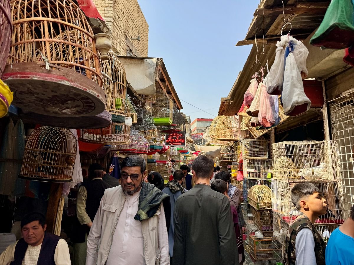 Men walking town bird market in Kabul