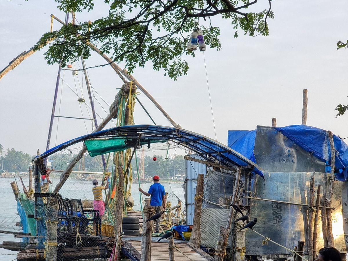 Men working at the chinese fishing nets at dawn, Fort Kochi.