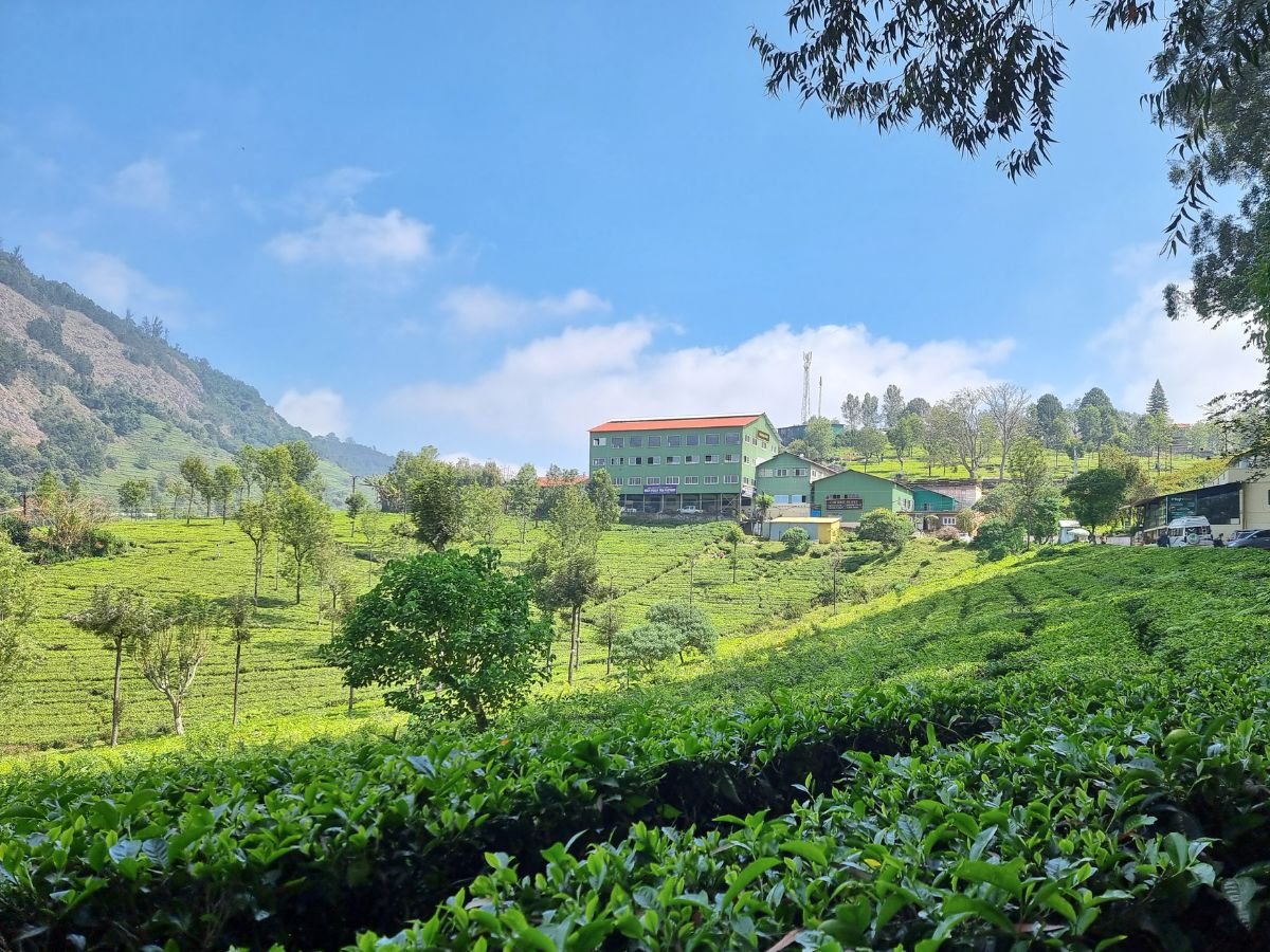 Highfield Tea Estate, Coonoor