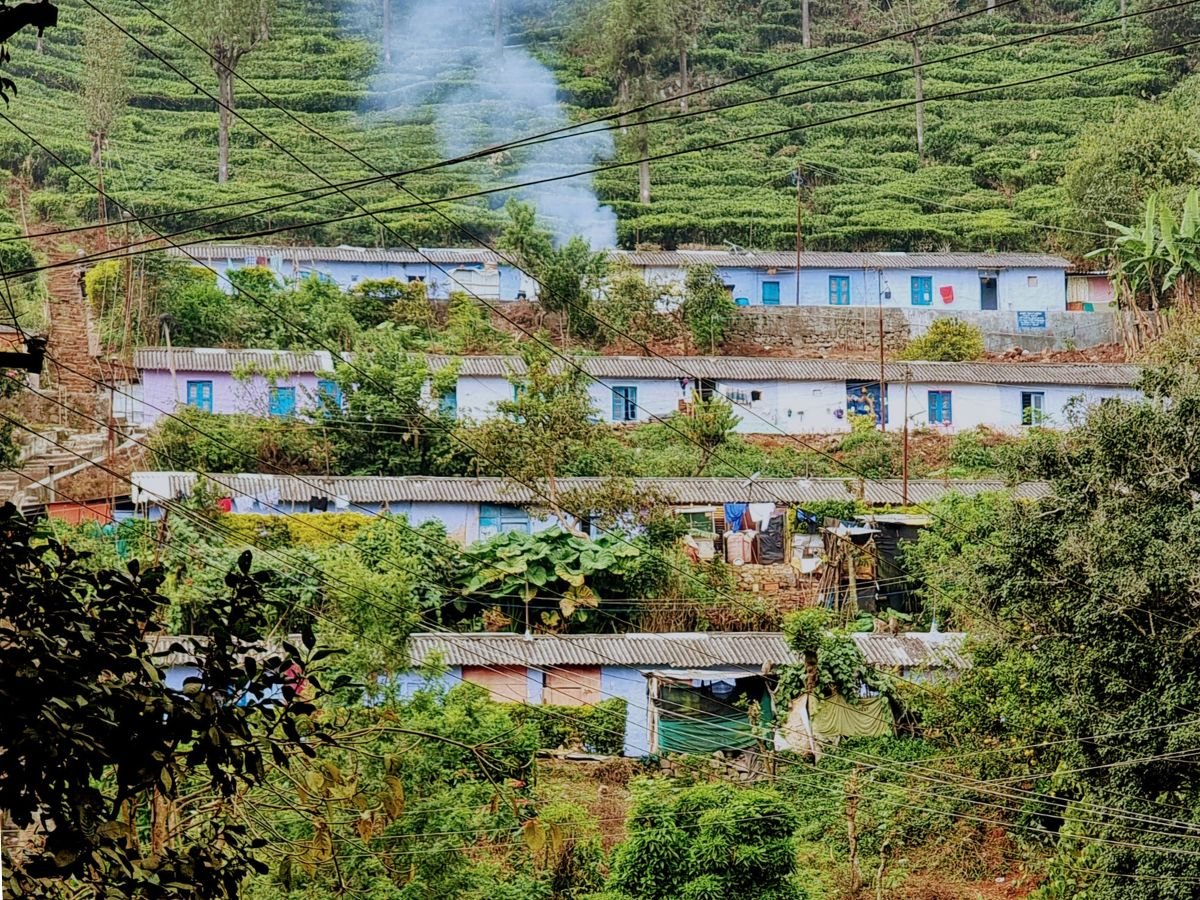 Accommodation of tea plantation workers in Coonoor