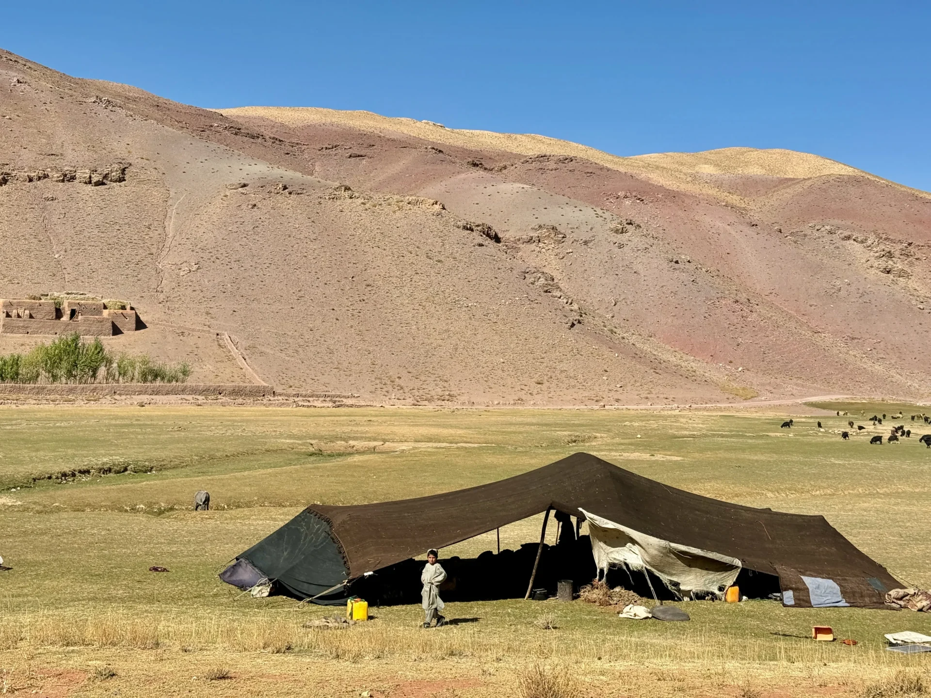 Black tent with nomadic people near Chagcharan, Afghanistan